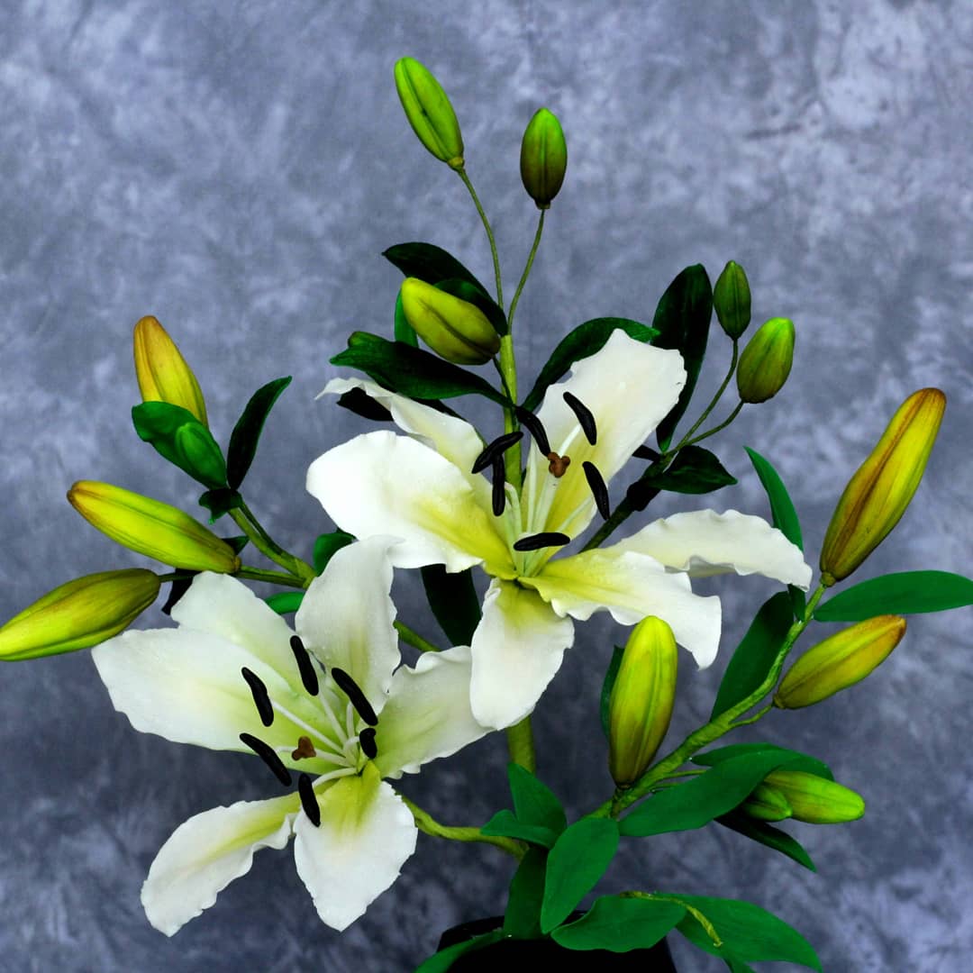 Oriental Lily