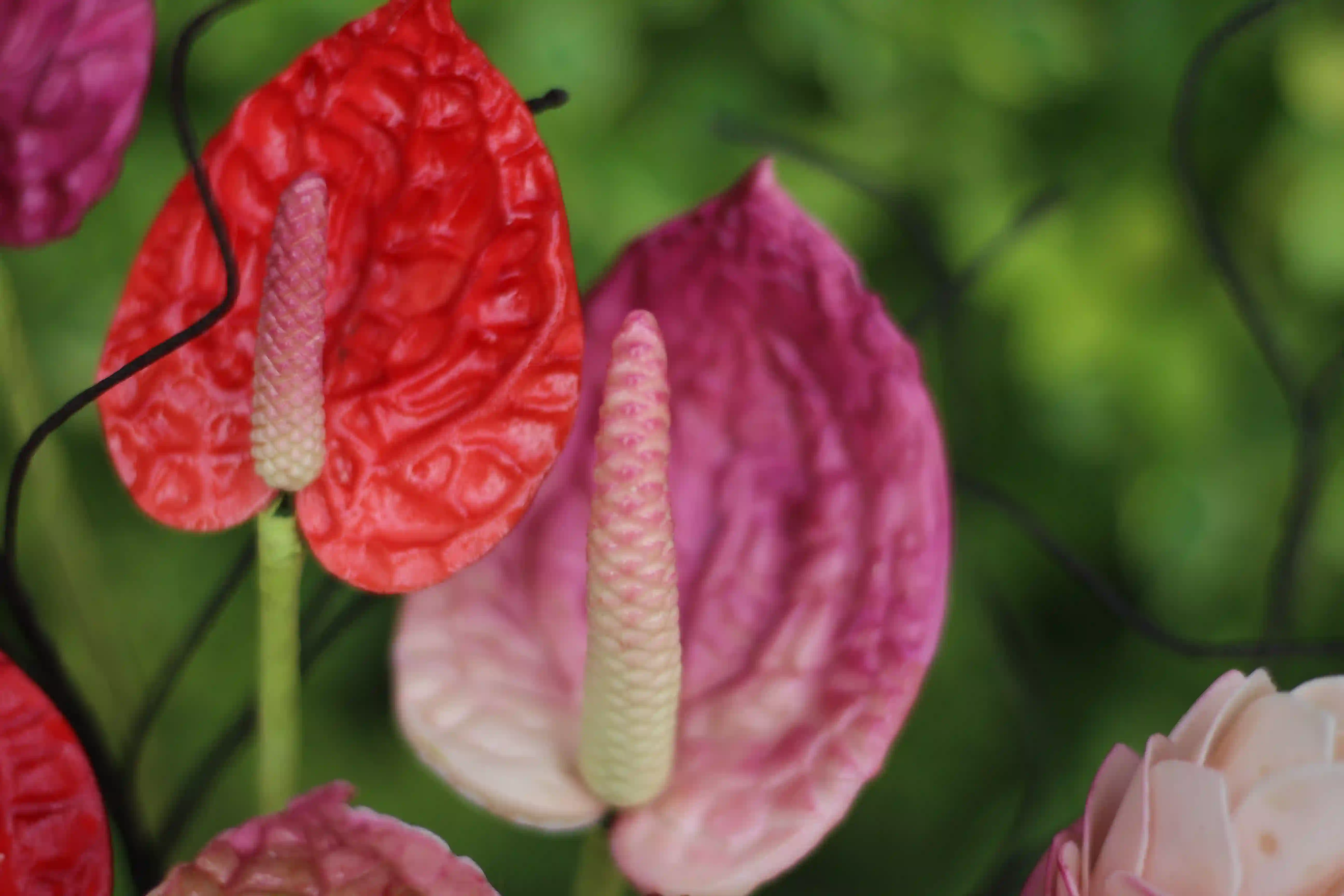Flower Veiners