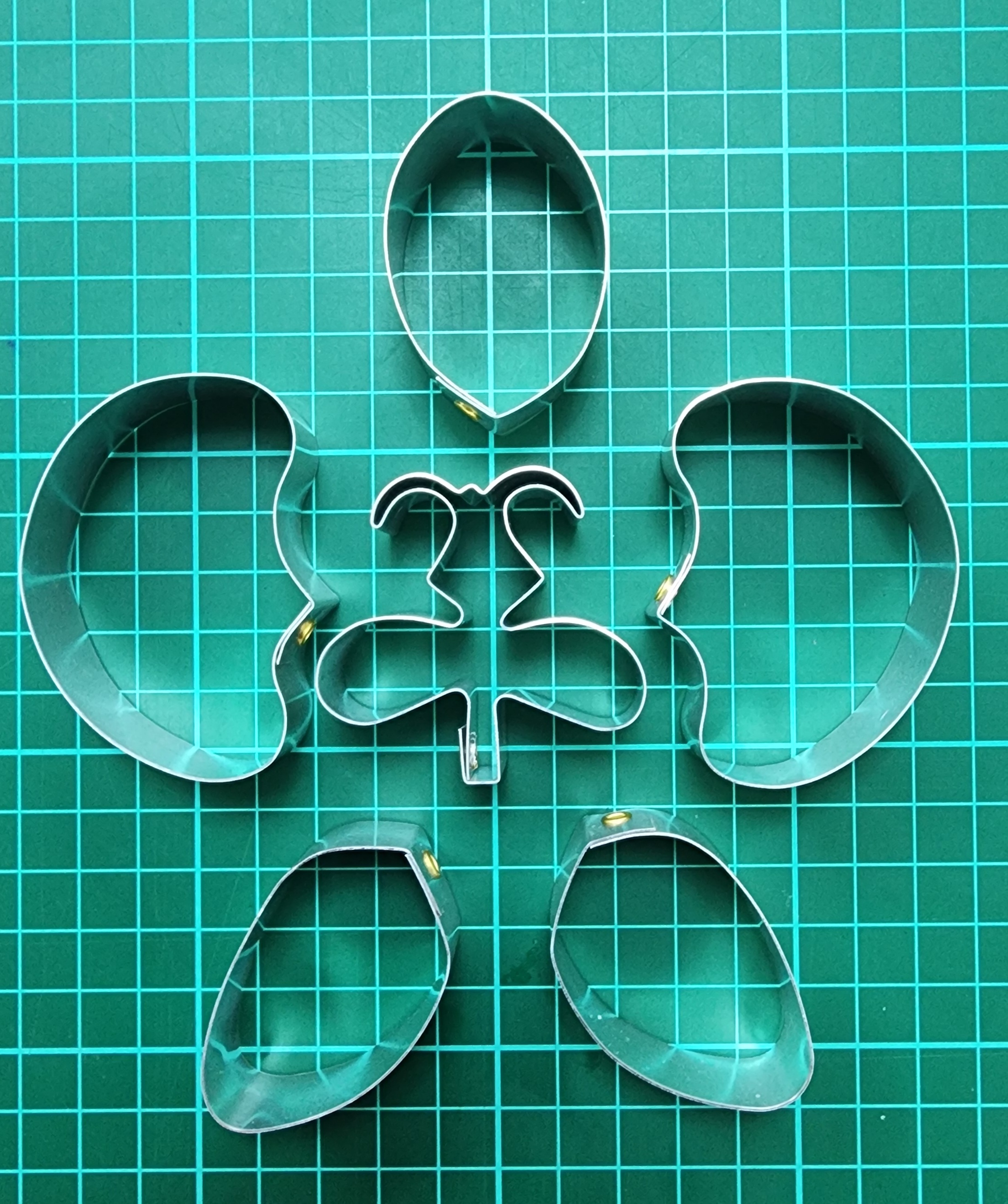 Moth orchid cutter