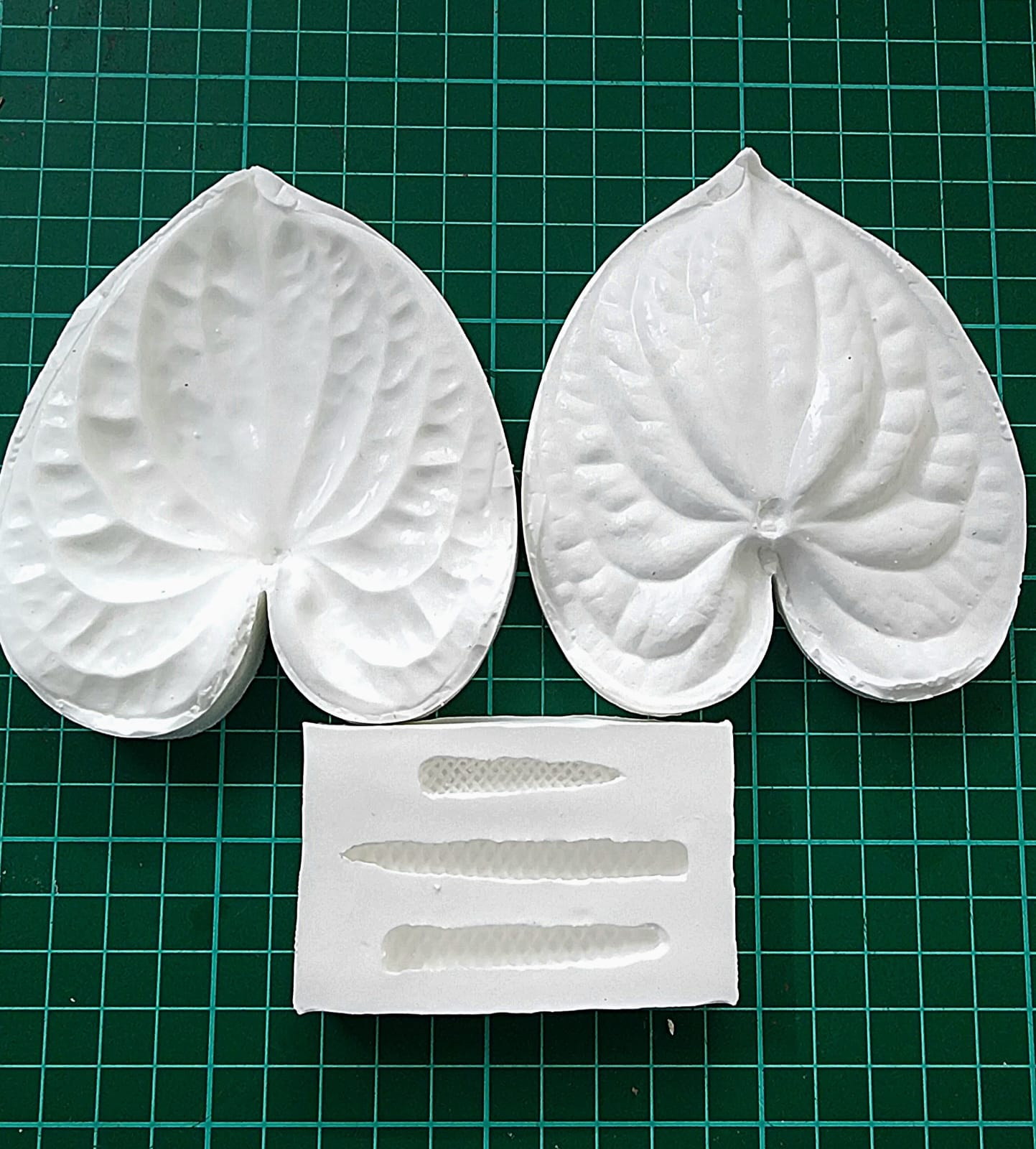 Anthurium
