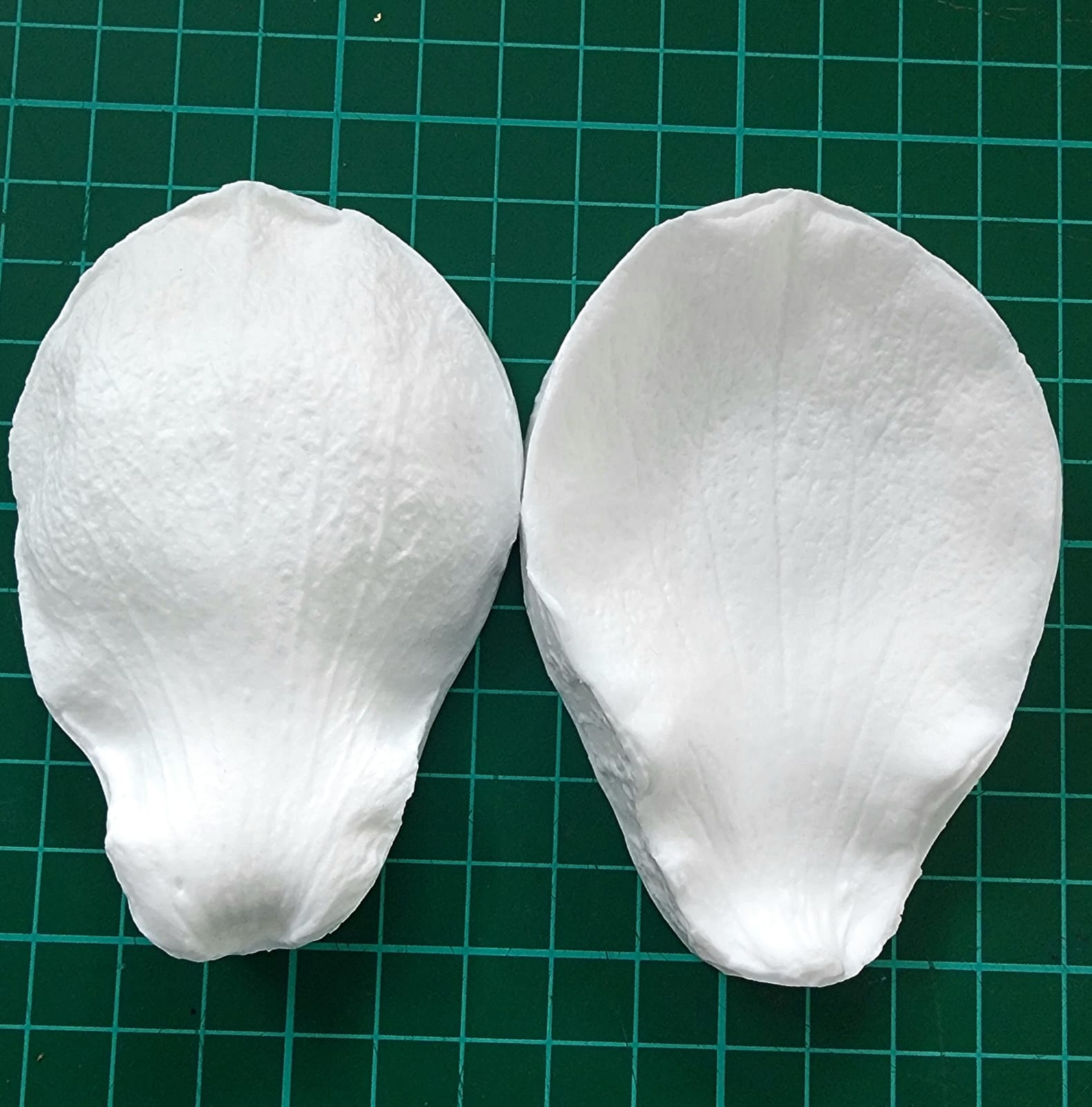 Magnolia